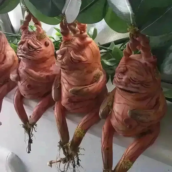 Realistic Mandrake Pullout Plant - Bear Hugs