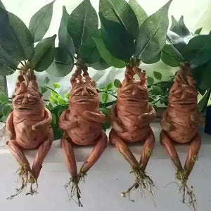 Realistic Mandrake Pullout Plant - Bear Hugs