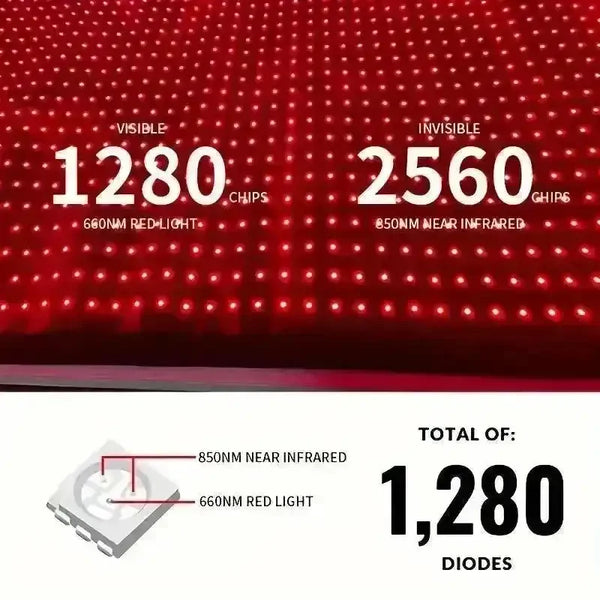 Red Light Therapy Mat For Whole Body - Bear Hugs