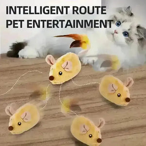 Remote-Controlled Mouse Cat Chase Toy - Bear Hugs