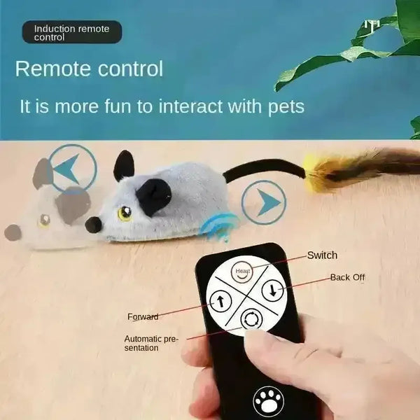 Remote-Controlled Mouse Cat Chase Toy - Bear Hugs