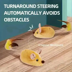Remote-Controlled Mouse Cat Chase Toy - Bear Hugs