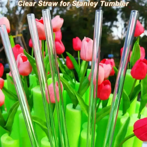 Replacement Straws For Stanley Cup (14 oz/20 oz) - Bear Hugs