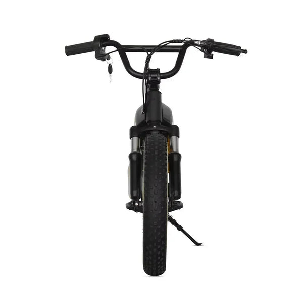 Runfly Blaze ET-01 Max Plus Electric Bike - Bear Hugs