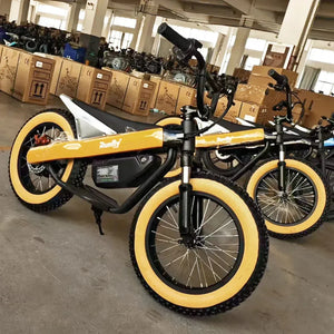 Runfly Blaze ET-01 Max Plus Electric Bike - Bear Hugs