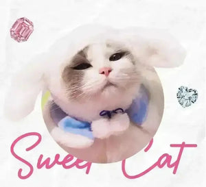 Sanrio Fluffy Cat Hat For Pets - Bear Hugs
