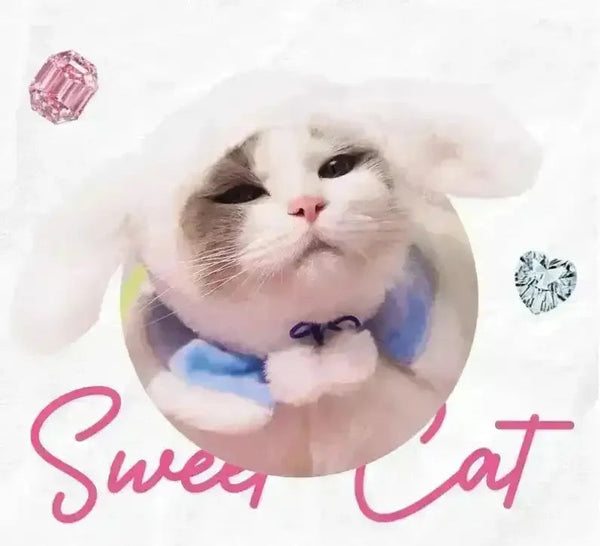 Sanrio Fluffy Cat Hat For Pets - Bear Hugs