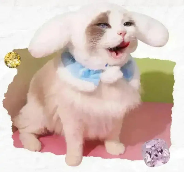 Sanrio Fluffy Cat Hat For Pets - Bear Hugs