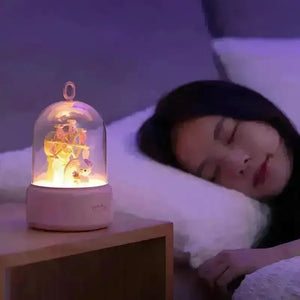 Sanrio Rotating Ferris Wheel Musical Night Lamp - Bear Hugs
