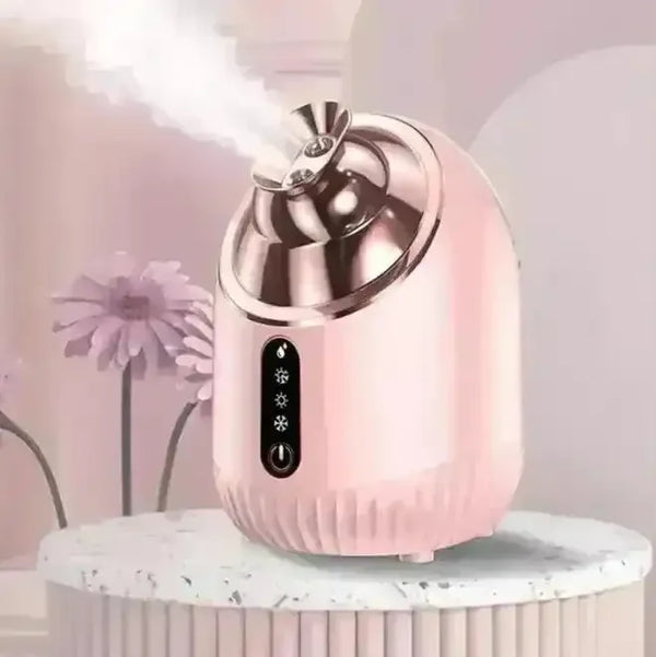 Shiny Rosy Nano Facial Steamer - Bear Hugs
