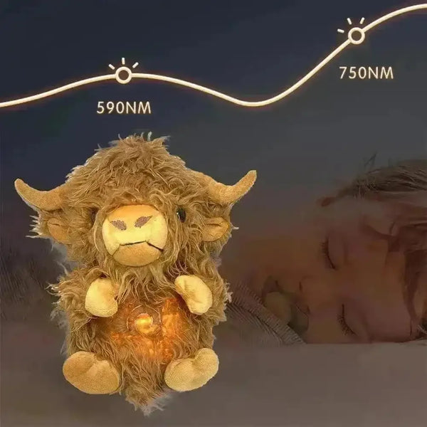 Soothing and Breathing Highland Cow - Bear Hugs