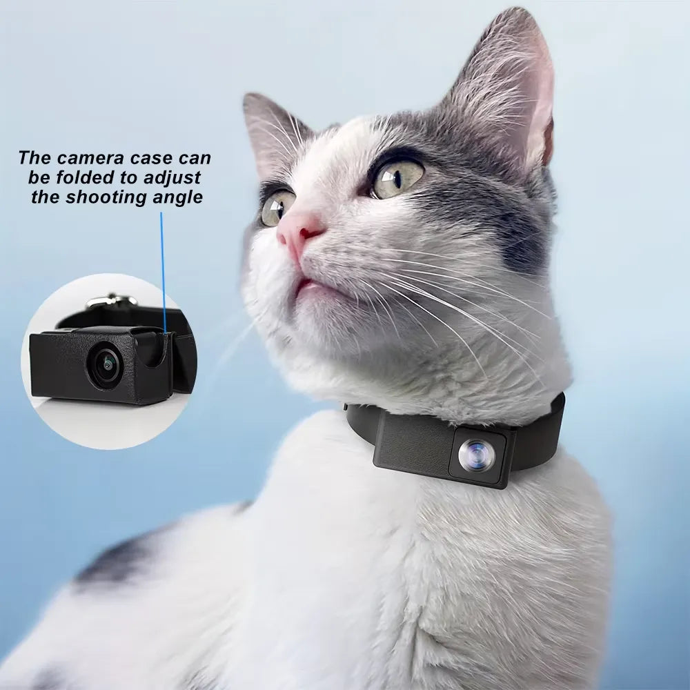 Paws Eye X6 Pet Collar Camera