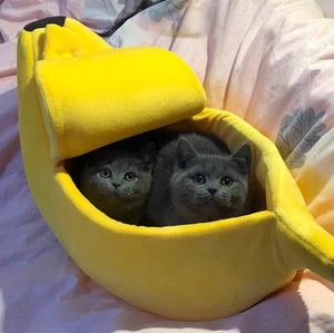 Going Bananas Cat House