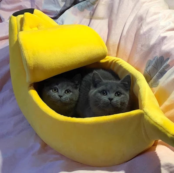 Going Bananas Cat House