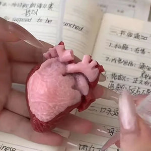 Realistic Heart-Shaped Squishy Toy