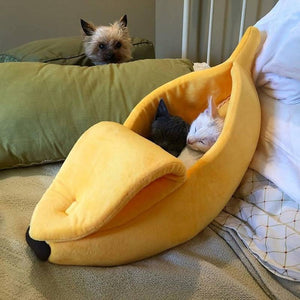 Going Bananas Cat House