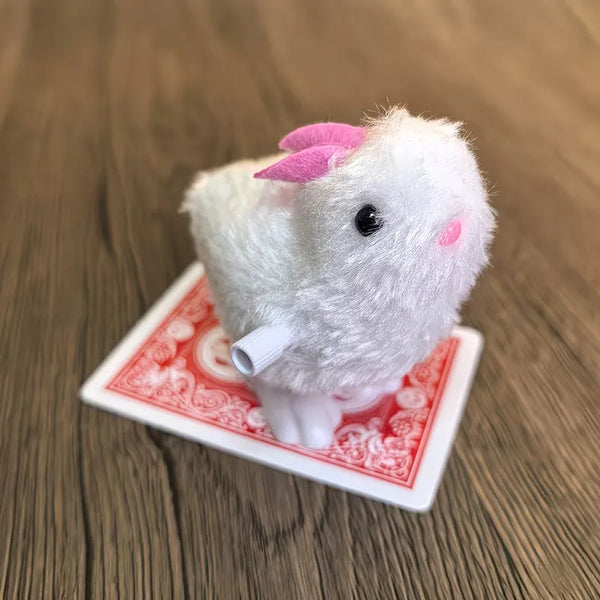 Telepathic Bunny Card Finder Magic Set