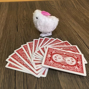 Telepathic Bunny Card Finder Magic Set