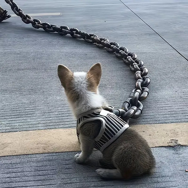 Heavy Shackles Premium Plastic Dog Leash