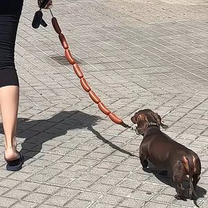 Frankfurter Link Novelty Sausage Pet Leash
