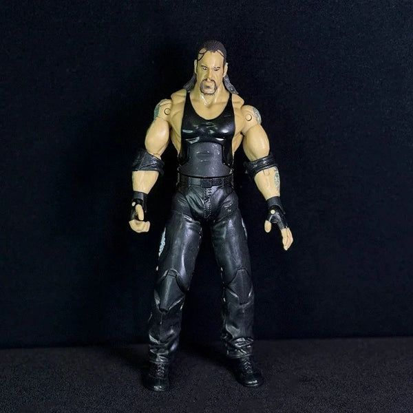 Attitude Era Wrestling Action Figures (14 cm)