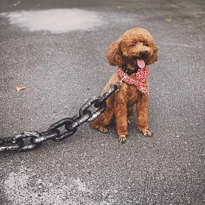 Heavy Shackles Premium Plastic Dog Leash