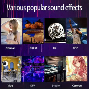 Vocal Anomaly G9 Voice Modulator Card