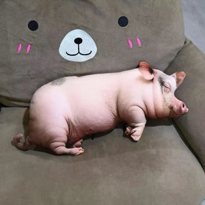 Truffle-Snuffler Ultra-Realistic Sleeping Piglet Plush