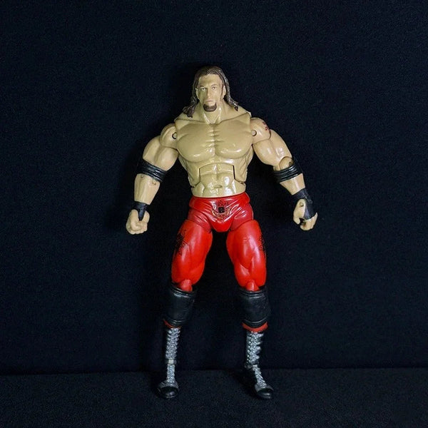 Attitude Era Wrestling Action Figures (14 cm)