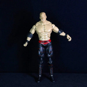 Attitude Era Wrestling Action Figures (14 cm)