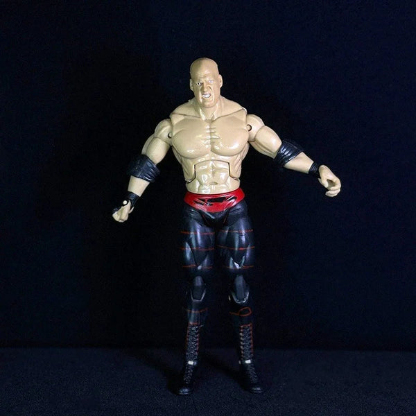 Attitude Era Wrestling Action Figures (14 cm)