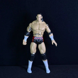 Attitude Era Wrestling Action Figures (14 cm)