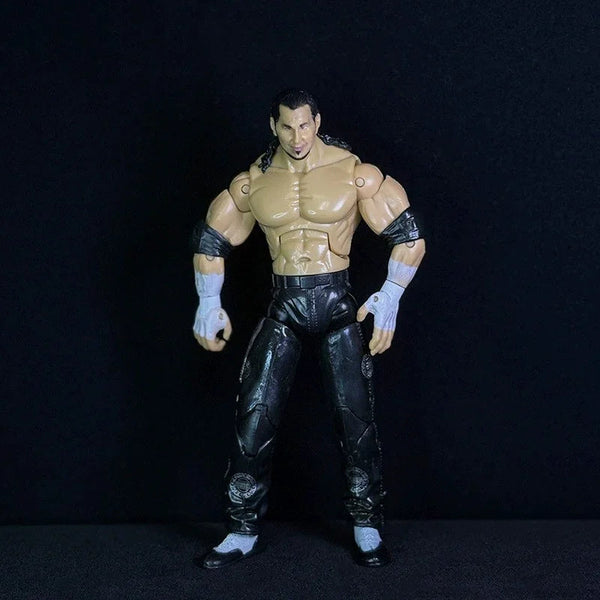 Attitude Era Wrestling Action Figures (14 cm)