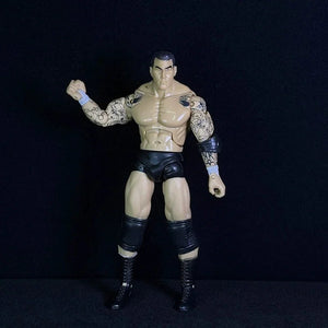 Attitude Era Wrestling Action Figures (14 cm)