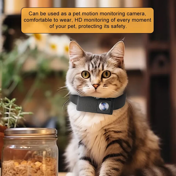 Paws Eye X6 Pet Collar Camera