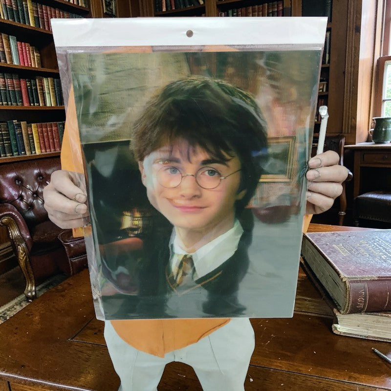 Harry Potter 3D Lenticular Golden Trio Poster