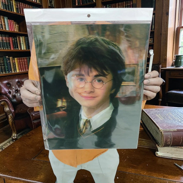 Harry Potter 3D Lenticular Golden Trio Poster