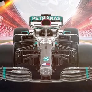 Rastar 1:12 Scale Mercedes-AMG Petronas W14 RC Car