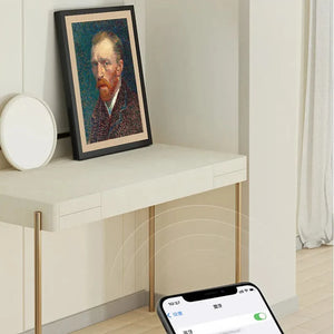 Morror Art T2 Frame Speaker