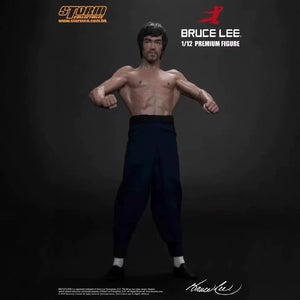 Storm Toys Bruce Lee Premium Martial Artist Figure (18 cm)