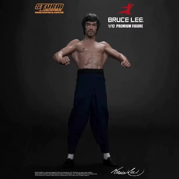 Storm Toys Bruce Lee Premium Martial Artist Figure (18 cm)