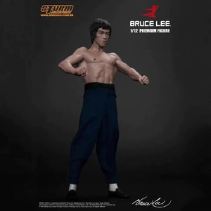 Storm Toys Bruce Lee Premium Martial Artist Figure (18 cm)