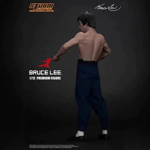 Storm Toys Bruce Lee Premium Martial Artist Figure (18 cm)