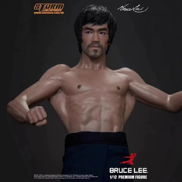 Storm Toys Bruce Lee Premium Martial Artist Figure (18 cm)