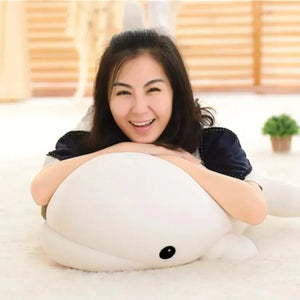 Baby Beluga - Bear Hugs