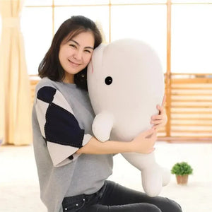 Baby Beluga - Bear Hugs