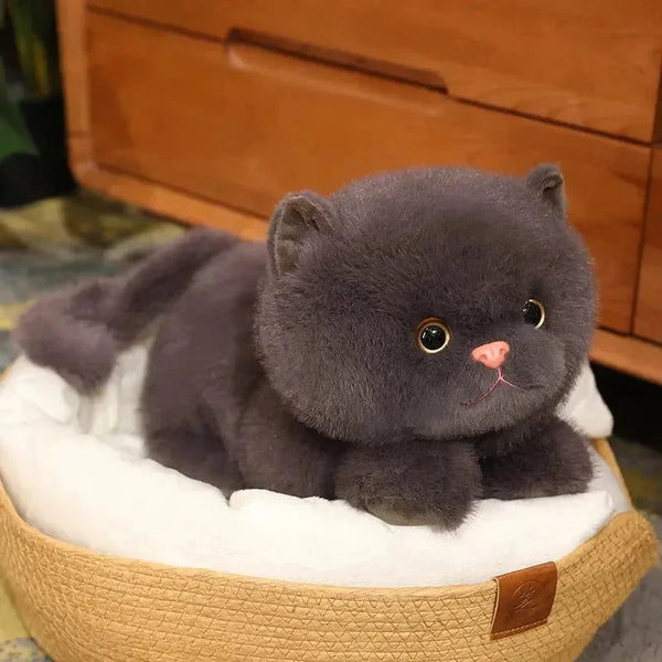 Fluffy Kitten Squad Laying Plushies - Bear Hugs
