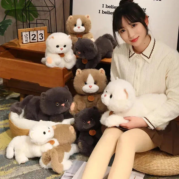 Fluffy Kitten Squad Laying Plushies - Bear Hugs