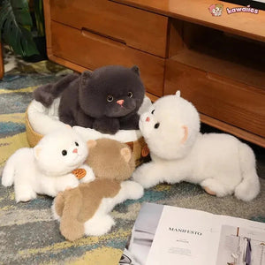 Fluffy Kitten Squad Laying Plushies - Bear Hugs