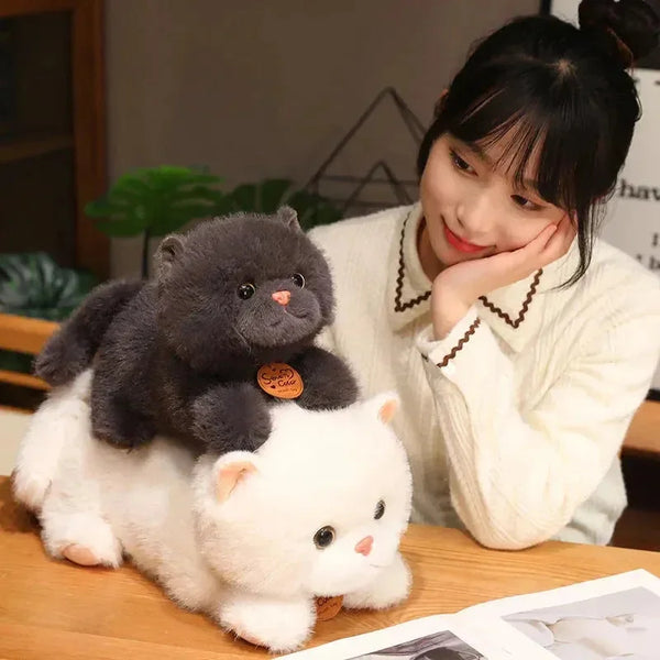 Fluffy Kitten Squad Laying Plushies - Bear Hugs